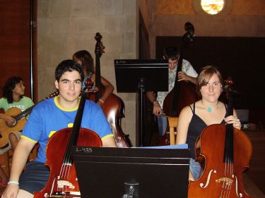 cellos